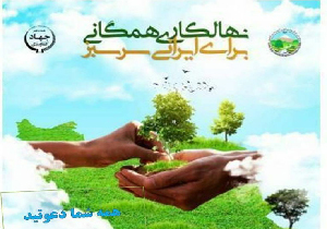 کاشت نهال و بذر همگانی همزمان با سراسر کشور فردا در مهاباد