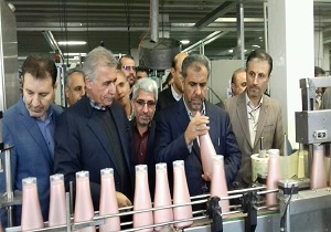 بازدید استاندار قزوین از چند واحد تولیدی