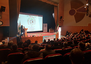 رتبه ۹ گلستان درکشت آبی و دیم/ در حفاظت خاک با مشکل مواجه هستیم