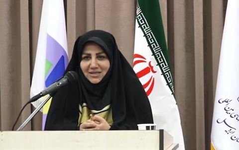 ۸۰۰ هزار بافنده فرش در کشور تا پایان سال تحت پوشش بیمه تامین اجتماعی قرار می&zwnj;گیرند