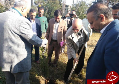 بیش از یک میلیون اصله نهال در گلستان غرس شد