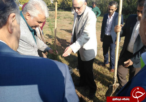 بیش از یک میلیون اصله نهال در گلستان غرس شد