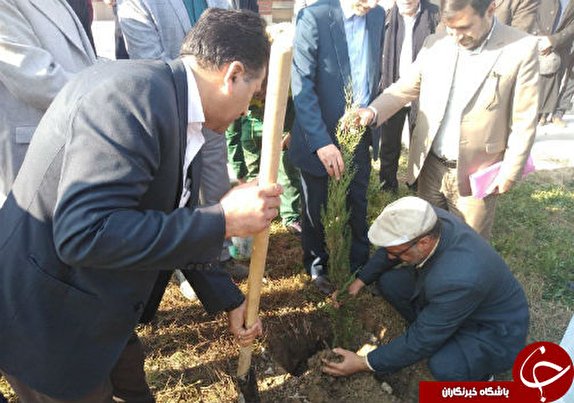 بیش از یک میلیون اصله نهال در گلستان غرس شد