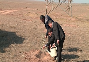 طرح سراسری کاشت ۱۴ میلیون نهال از قم آغاز شد