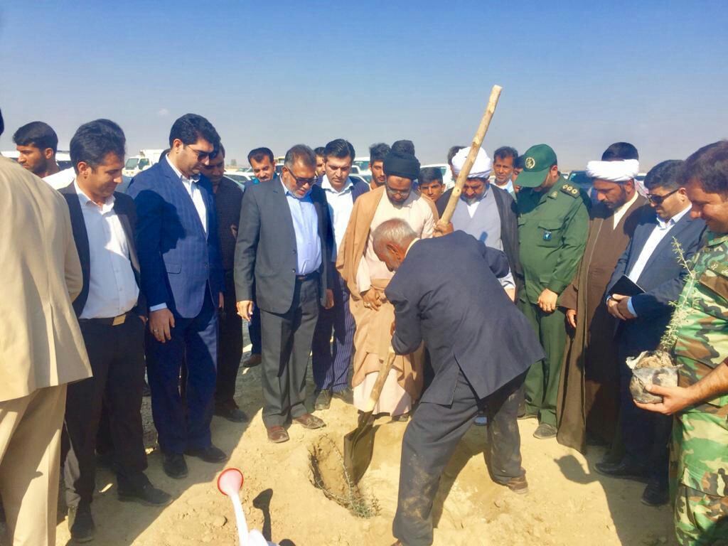 احیا جنگل مهروئیه در طرح بسیج همگانی نهال کاری