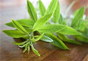 حمایت‌های بسیج سازندگی، راننده تاکسی را در صف تولیدکنندگان به لیمو قرار داد