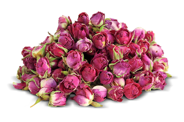 گل محمدی