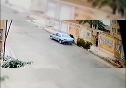 حمله وحشتناک ۸ سگ به یک عابر پیاده + فیلم