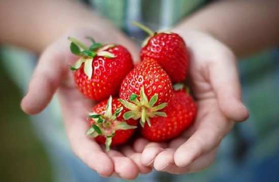 دانستنی&zwnj;هایی جالب درباره میوه&zwnj;ها و سبزیجات