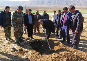 ۱۵ هکتار از اراضی شهرستان بروجن نهالکاری شد
