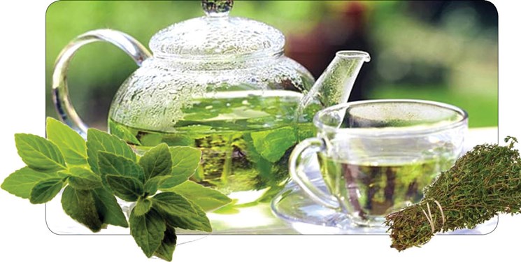 خواص شگفت&zwnj;انگیز دمنوش پونه کوهی