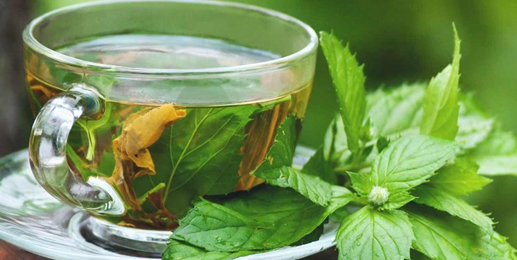 خواص شگفت&zwnj;انگیز دمنوش پونه کوهی