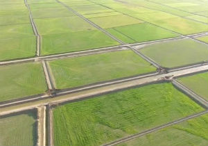 زهکشی ۴۹ هزار هکتار از اراضی گمیشان