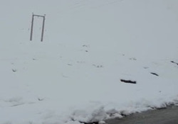 بارش برف در عربستان + فیلم