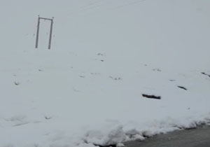 بارش برف در روستای پرزگان سفلی + فیلم