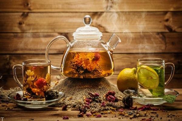 فواید شگفت انگیز گیاه زوفا 