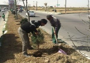 آغاز طرح جهادی سبز در مناطق شهری گرمسار
