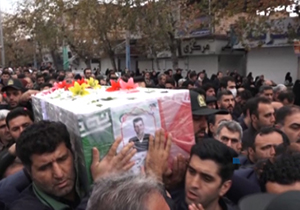 بلایی که گویی برای درختان تمامی ندارد تا کاشت طلای سرخ به روش هیدروپونیک + فیلم