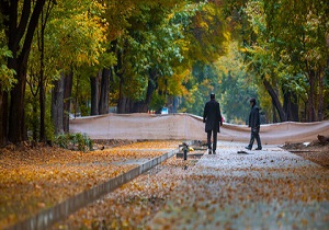 هوای اصفهان سالم است