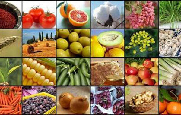 ۱۶۵۰ میلیارد تومان برای پرداخت خسارت به کشاورزان اختصاص یافت