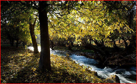 طبیعت پاییزی شهر الشتر لرستان در قاب تصویر