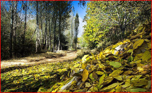 طبیعت پاییزی شهر الشتر لرستان در قاب تصویر
