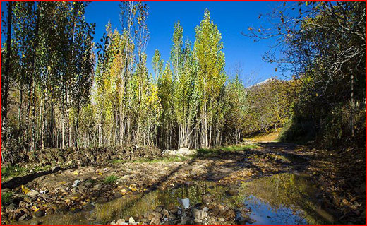 طبیعت پاییزی شهر الشتر لرستان در قاب تصویر