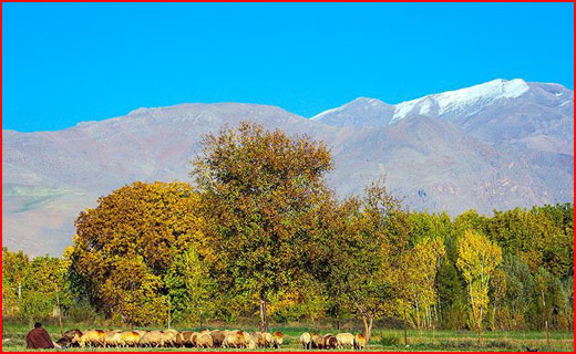 طبیعت پاییزی شهر الشتر لرستان در قاب تصویر