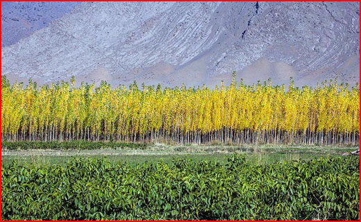طبیعت پاییزی شهر الشتر لرستان در قاب تصویر
