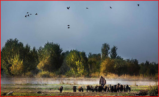 طبیعت پاییزی شهر الشتر لرستان در قاب تصویر