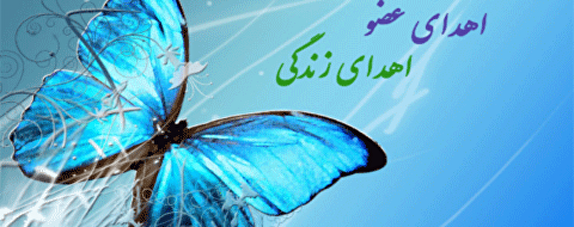 بانوی مرگ مغزی جان ۴ بیمار را نجات داد