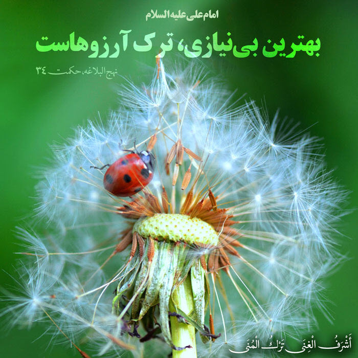 بهترین بی&zwnj;نیازی در نگاه امیرمومنان(ع)