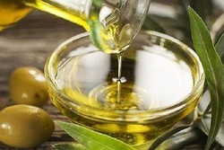 تولید حدود ۲۵ درصد روغن زیتون کشور درطارم