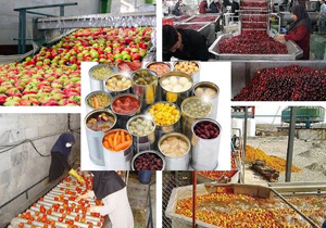 صدور ۳۶ مجوز صنایع تبدیلی و تکمیلی در کازرون