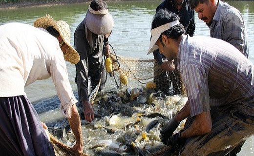 وقتی کویر سخاوت خود را به رخ می&zwnj;کشد