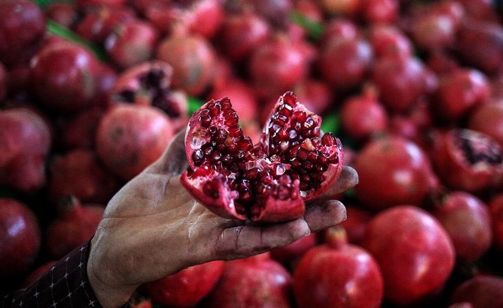 در شهرهای ایران شب یلدا چگونه برگزار می‌شود؟