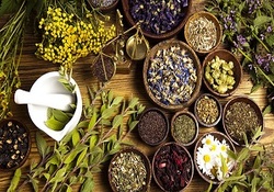 طرز تهیه دمنوش ضد اضطراب + فیلم