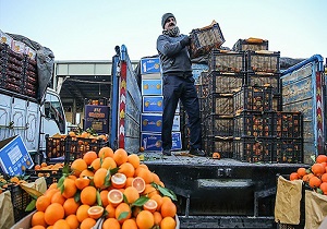 سهم بنزین در قیمت گذاری میوه چقدر است؟ + فیلم