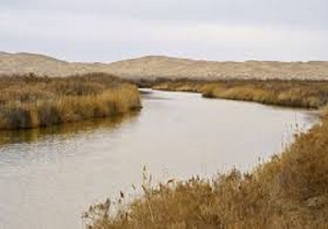جاری شدن آب زاینده رود در تالاب گاوخونی