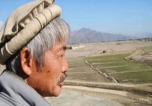 مجلس سنای افغانستان: پاکستان عامل ترور &laquo;ناکامورا&raquo; است