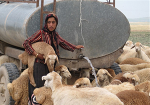 اختصاص ۱۸ میلیون یورو از صندوق توسعه ملی برای تأمین آب عشایر