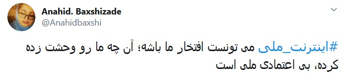 اینترنت ملی