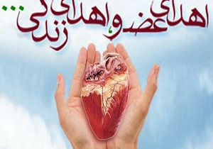 اعضای بیست و یکمین مورد مرگ مغزی در اردبیل اهدا شد