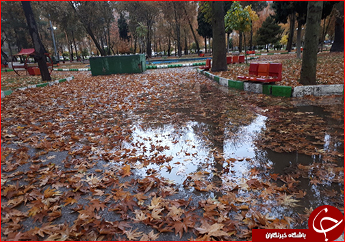 جلوه گری پاییز هزار رنگ در خیابان&zwnj; های خرم آباد به روایت تصویر