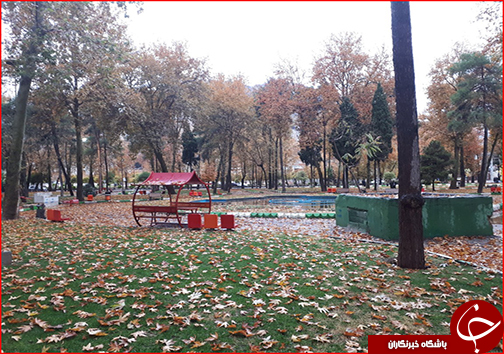 جلوه گری پاییز هزار رنگ در خیابان&zwnj; های خرم آباد به روایت تصویر