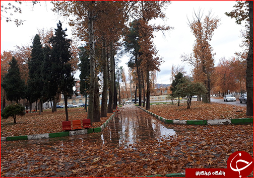 جلوه گری پاییز هزار رنگ در خیابان&zwnj; های خرم آباد به روایت تصویر