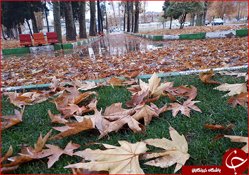 جلوه گری پاییز هزار رنگ در خیابان&zwnj; های خرم آباد به روایت تصویر