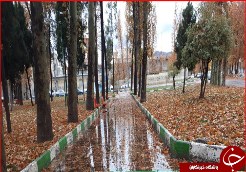 جلوه گری پاییز هزار رنگ در خیابان&zwnj; های خرم آباد به روایت تصویر