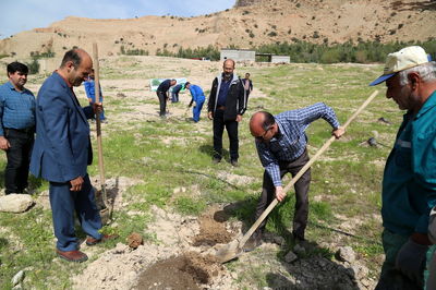 کاشت 2 هکتارنهالکاری در شهرستان درگزین