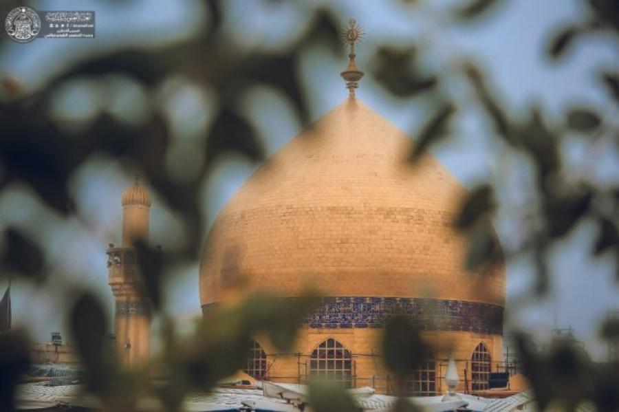 تصاویری ناب از حال و هوای مه گرفته حرم امیرالمومنین(ع)